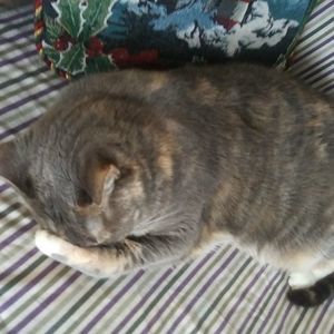 Meet your Posher, Terry